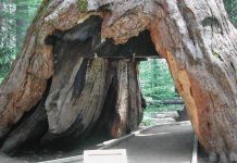 El gusto por aprender matemática