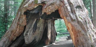 El gusto por aprender matemática