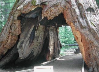 El gusto por aprender matemática