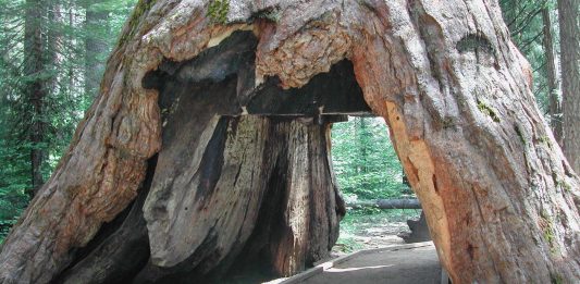 El gusto por aprender matemática