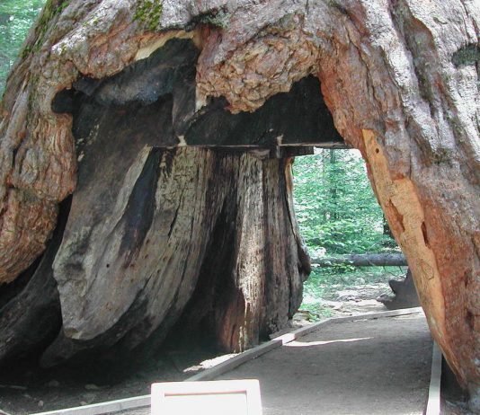 El gusto por aprender matemática