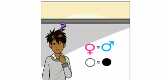 Educación Matemática, equidad e inclusión