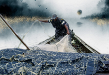 Etnomatemáticas en Colombia: dos libros