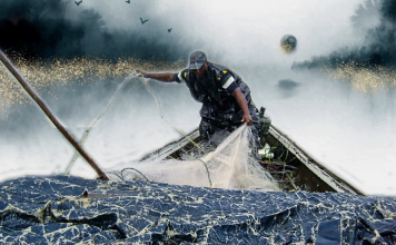 Etnomatemáticas en Colombia: dos libros