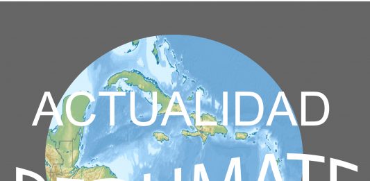 Actualidad REDUMATE: Número 4, diciembre, 2020
