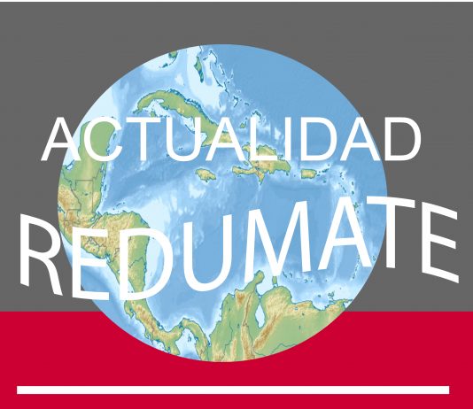 Actualidad REDUMATE: Número 4, diciembre, 2020