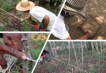 Etnomatemática. Vídeo 9. Cálculos y medidas de cultivos. Campesinos del Atlántico y Córdoba.