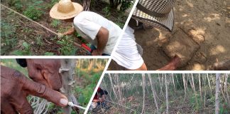 Etnomatemática. Vídeo 9. Cálculos y medidas de cultivos. Campesinos del Atlántico y Córdoba.