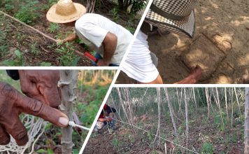 Etnomatemática. Vídeo 9. Cálculos y medidas de cultivos. Campesinos del Atlántico y Córdoba.