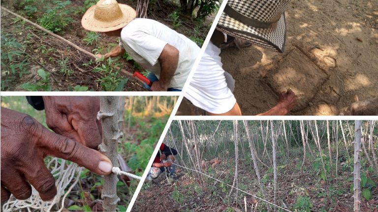 Etnomatemática. Vídeo 9. Cálculos y medidas de cultivos. Campesinos del Atlántico y Córdoba.