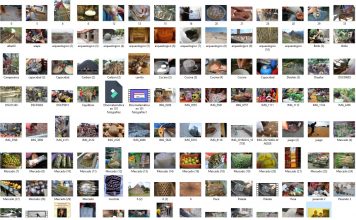 Etnomatemática en 101 fotografías. Vídeo 10