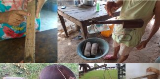 Vídeo 11. Medidas con el Peso de Mano