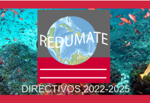 Nuevos directivos de REDUMATE