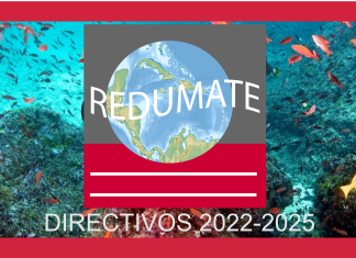 Nuevos directivos de REDUMATE