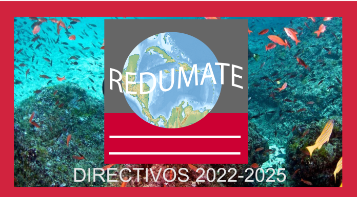 Nuevos directivos de REDUMATE