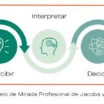 Modelo de Jacobs de Mirada Profesional