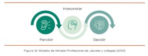 Modelo de Jacobs de Mirada Profesional