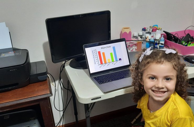 Aportes de la Estadística Cívica en el aula: tecnología, diversidad y desarrollo sostenible imagen para documento 4