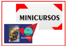 Los Minicursos del IV CEMACYC
