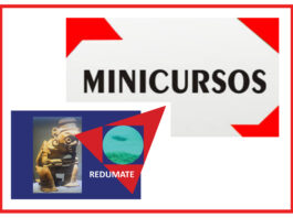 Los Minicursos del IV CEMACYC