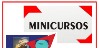 Los Minicursos del IV CEMACYC