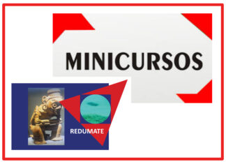 Los Minicursos del IV CEMACYC