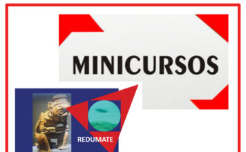 Los Minicursos del IV CEMACYC