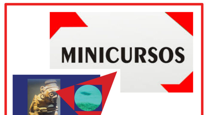 Los Minicursos del IV CEMACYC